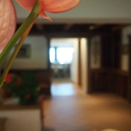Hotel Hotel Ciurnadu La Valle